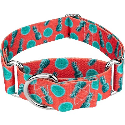 country brook petz collar