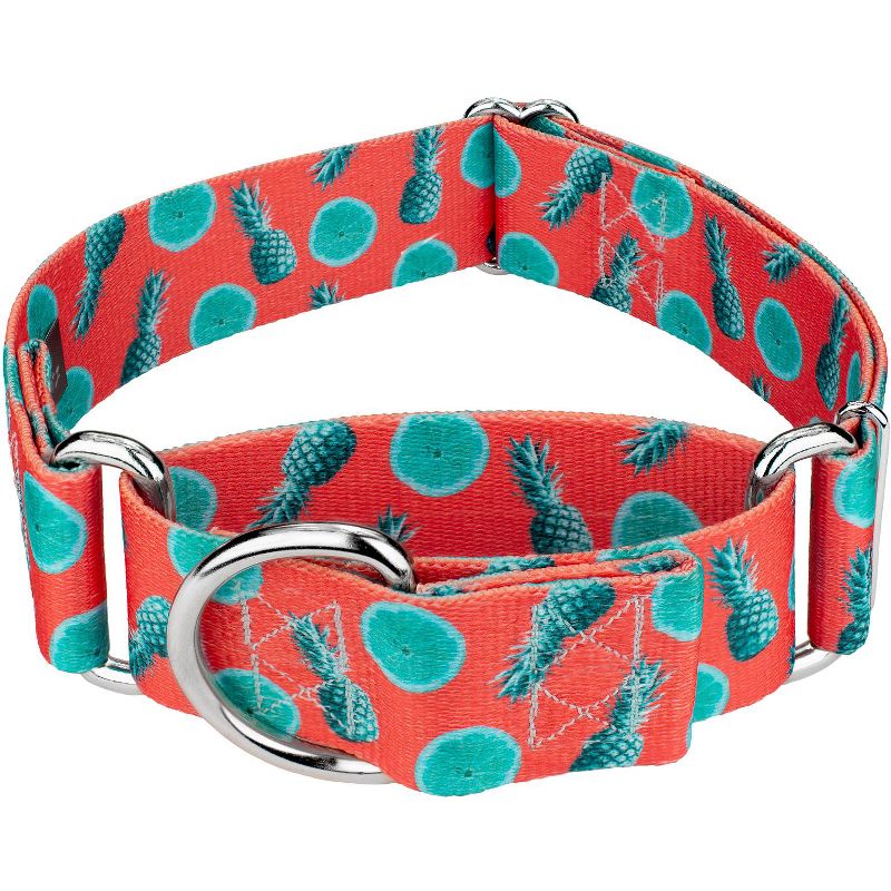Country Brook Petz 1 1/2 Inch Tropical Tango Martingale Dog Collar, 1 of 6