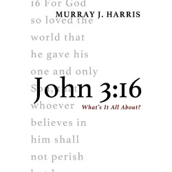 John 3:16 - by  Murray J Harris (Paperback)
