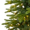 Nearly Natural 9-ft Belgium Fir Natural Look Artificial Christmas Tree with 800 Clear LED Lights - 3 of 4