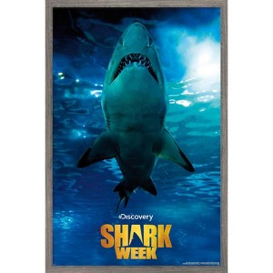 Trends International Shark Week - Smile Framed Wall Poster Prints - 1 of 4