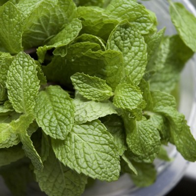 Fresh Peppermint Leaves For Delivery Near Me – Ecosprout