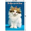 Trends International Keith Kimberlin - Kitten - Queen Unframed Wall Poster Prints - 3 of 4