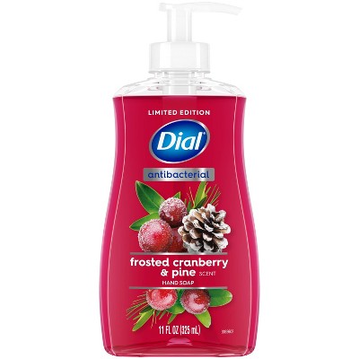 Dial Antibacterial Frosted Cranberry & Pine Gel Pump Hand Soap - 11oz