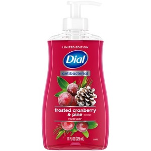 Dial Antibacterial Frosted Cranberry & Pine Gel Pump Hand Soap - 11oz - 1 of 4