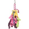 Prevue Pet Products 60062547: Forest King Bird Toy, Sm - 3 of 3
