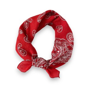 Anna-Kaci Cotton Paisley Print Bandana Scarf Square Neck Head Wrap - 22.8IN×22.8IN - 1 of 4