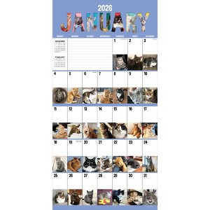 TF Publishing 13.5"x14.5" 2026 Cat-A-Day Wall Calendar - 1 of 4