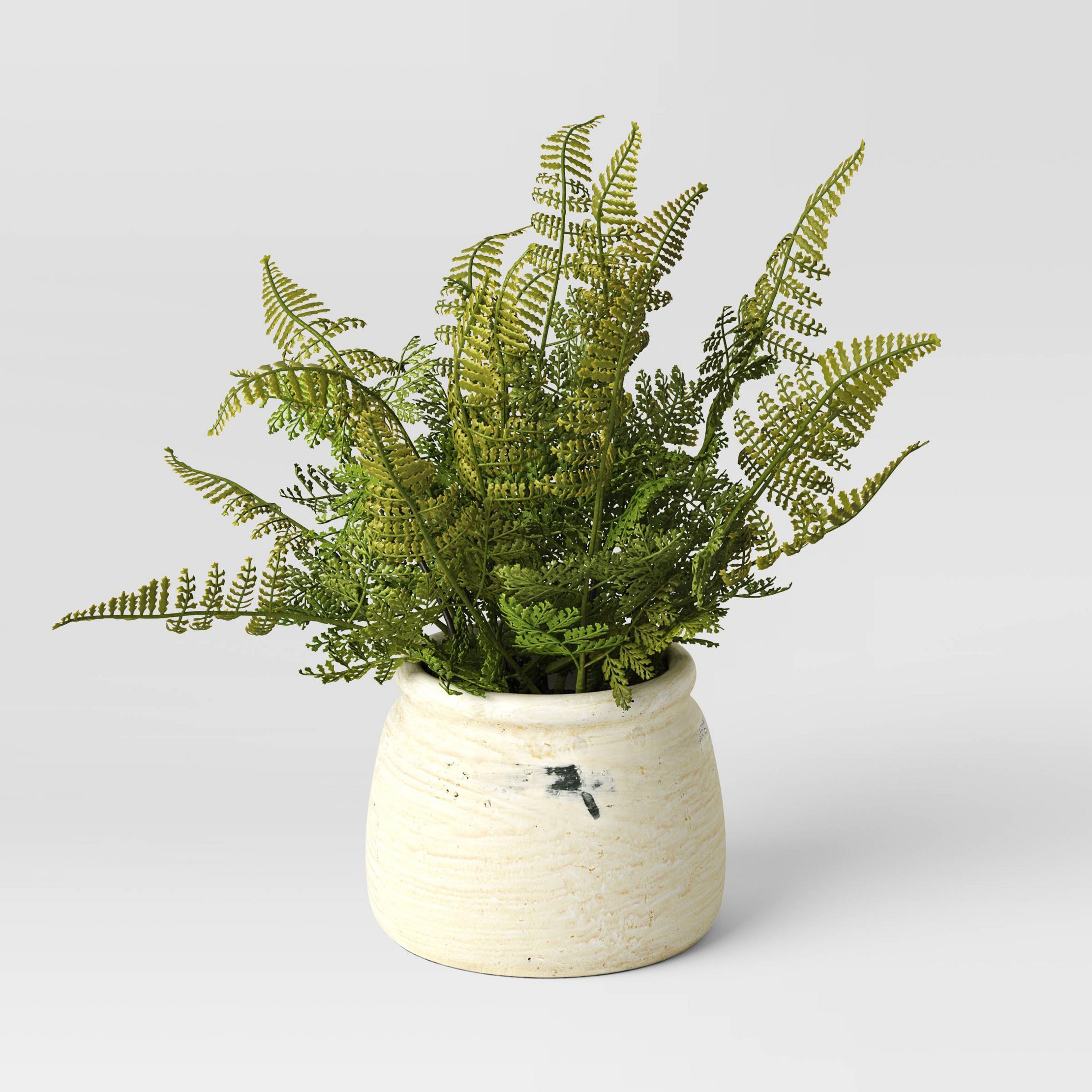 artificial fern