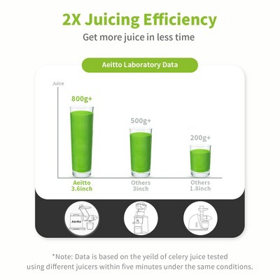 Silver Electric Masticating Juicer with Variable Speed and Reverse Function