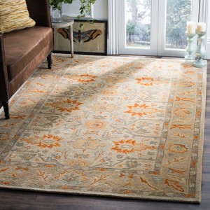 Antiquity AT63 Hand Tufted Indoor Rugs - Safavieh - 1 of 4