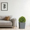 KTMBDW Indoor&Outdoor use 22in Boxwood Double Ball Topiary Trees Faux Topiary Tree for Porch,Home,Garden Decor - 3 of 4