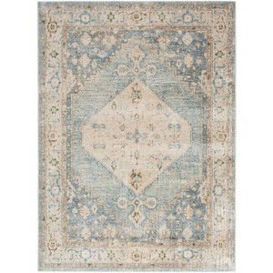 Nourison Washable Astra Vintage Persian Indoor Flatweave Area Rug - 1 of 4