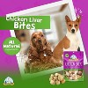 Yeti Dog Chew Chicken Liver Crunchy Bites Yak Cheese Dog Treats - 4 oz - 3 of 4