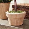 Plum & Post Boxwood Topiaries Faux (Fake) Set of 8 - 4 of 4