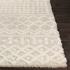 Pinnacle Shag Global Rug - Artistic Weavers - 2 of 4