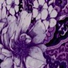 purple rose paisley