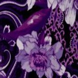 purple rose paisley