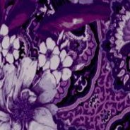 purple rose paisley