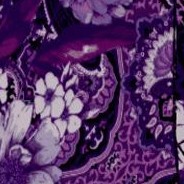 purple rose paisley