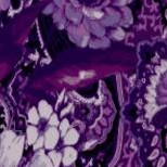 purple rose paisley