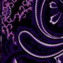 purple rose paisley