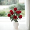 Floral Home 17" Red Rose Bush - 12-Piece - 2 of 4
