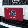 Stony Brook University Seawolves Logo Novelty Metal Vanity Tag License Plate - 2 of 4