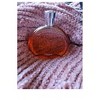 Elixir Des Merveilles by Hermes for Women - 3.3 oz EDP Spray - 3 of 3