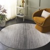 Adirondack ADR183 Non-Shedding Power Loomed Indoor Rugs - Safavieh - 2 of 4