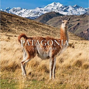 Patagonia National Park: Chile - (Paperback) - 1 of 1