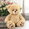 LotFancy 12" Teddy Bear Stuffed Animals, Soft Plush Bear with Footprints, Gifts for Kids Girls - 4 of 4