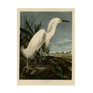 Trademark Fine Art -John James Audubon 'Snowy Heron' Canvas Art - 1 of 4
