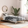 Anita & Bella Art Palm Leaves Dream Comforter Set - Deny Designs - image 2 of 3