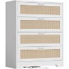 4 Drawer Dresser for Bedroom, Rattan Chest of Dressers with Metal Handle - 2 of 4