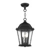 Livex Lighting Hamilton 3 - Light Pendant in  Textured Black - image 3 of 4