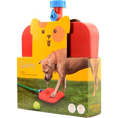 cat drinking fountain target