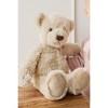 Snuggle Bunnies Stuffed Animal Theo The Bear - 3 of 4