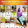 QUOKKA Flash Cards for Kids - 60/120/260 Cards ABC, Numbers & Animals, Colors, Fruits, Cars & Body Learning - 4 of 4