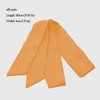 Anna-Kaci Women's Silk Satin Scarf Belt Fashion Accessory for Dresses, Waist Cinching & Styling - 3 of 3