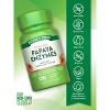 Nature's Truth Papaya Enzymes | 120 Chewable Tablets - 4 of 4