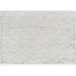 Rugs America Cloud Shag EVA10 Shag Shag Area Rug - 1 of 4