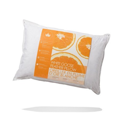 White Queen Size Goose Feather Firm Support Hypoallergenic Pillow Set