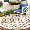 Veranda VER080 Power Loomed Indoor/Outdoor Rugs - Safavieh - 2 of 4