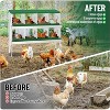 Chicken Nesting Box, 10/8/6 Hole Chicken Nesting Box for Hens - Heavy Duty Laying Box with Egg Collection System, Easy Clean & Tool-Free Assembly - 4 of 4