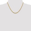 Black Bow Jewelry 3mm 10k Yellow Gold Diamond Cut Hollow Rope Chain Necklace - 2 of 4
