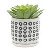 Okak Ceramic Planters with Polka Dot Design 5/6" Set of 2, White and Black for Indoor & Outdoor Use, Modern Home Decor - 3 of 4