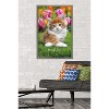 Trends International Keith Kimberlin - Maine Coon Kitten Framed Wall Poster Prints - 2 of 4