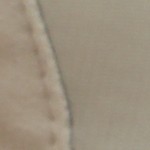 bone