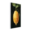Stupell Industries Abstract Lemon on Vine Wall Plaque Art - 2 of 4